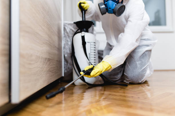 Best Termite Control Services  in Griffin, GA