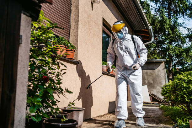Best Best Pest Control Companies  in Griffin, GA