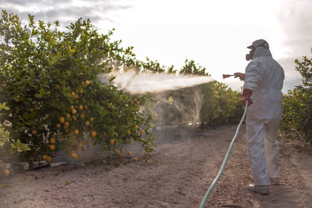 Best Local Pest Control Services  in Griffin, GA