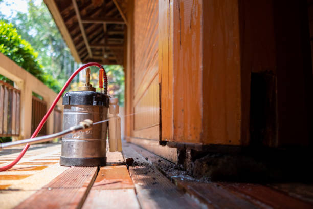 Best Affordable Pest Control Services  in Griffin, GA