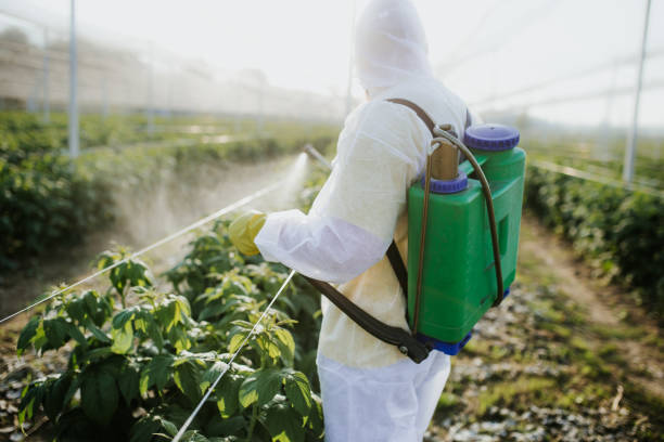 Best Insect Control  in Griffin, GA